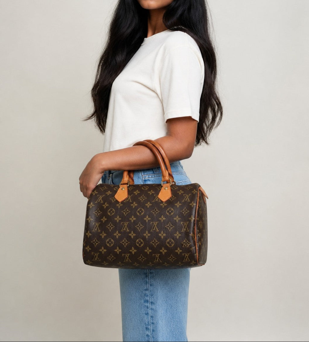 Louis Vuitton Speedy 30 Brown Monogram