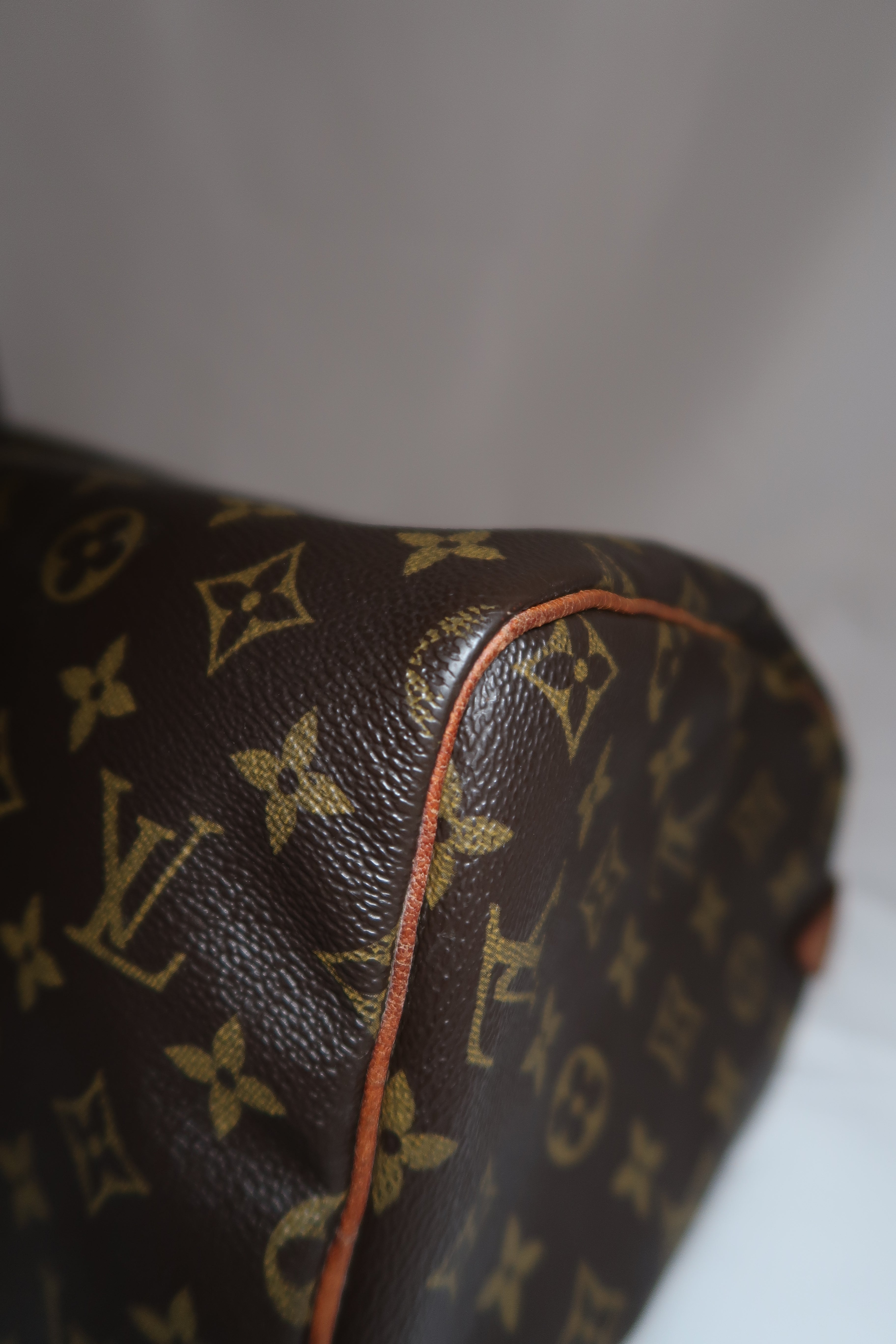 Louis Vuitton Speedy 30 Brown Monogram