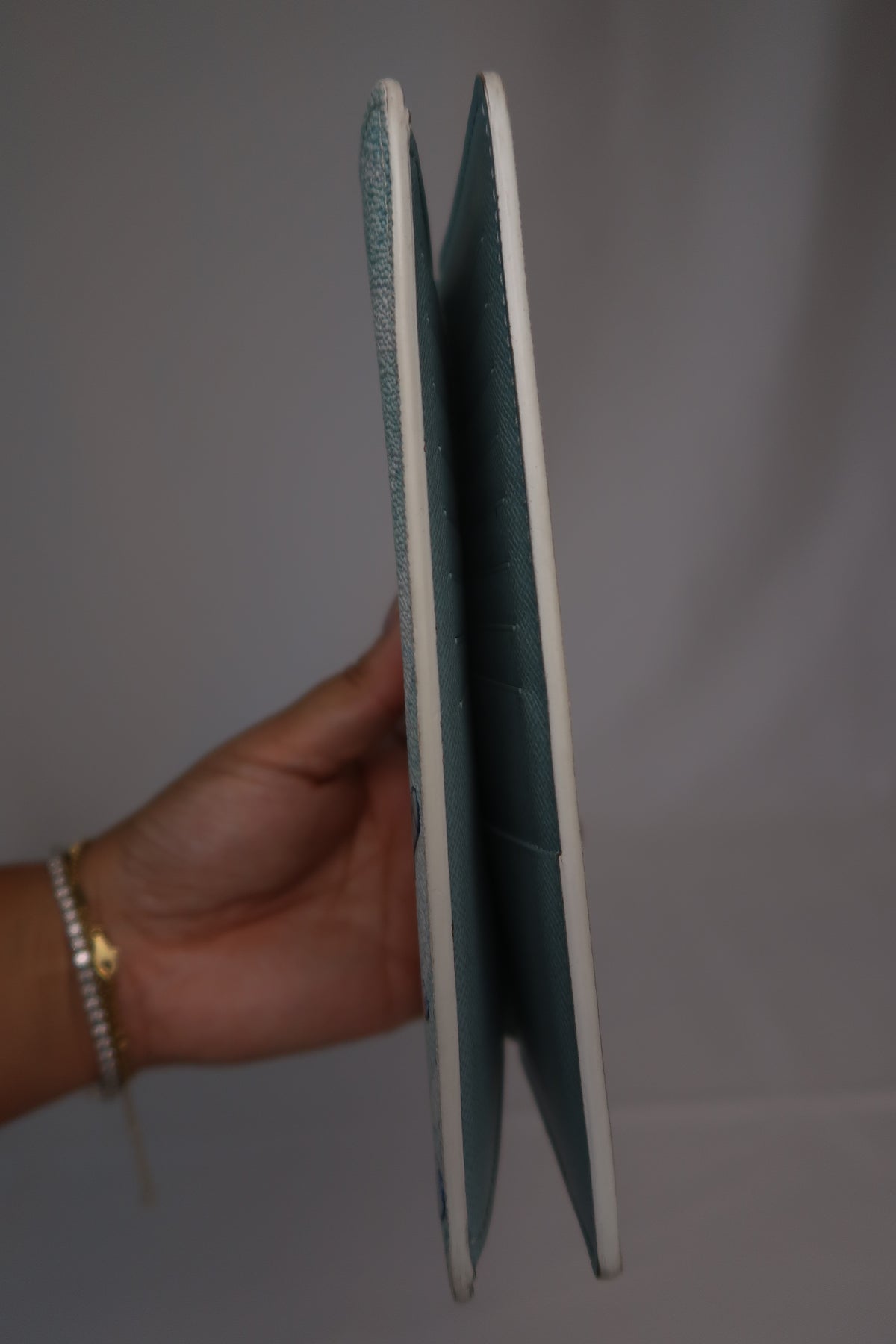 Louis Vuitton Brazza Wallet [Limited Edition] Aqua Garden Monogram