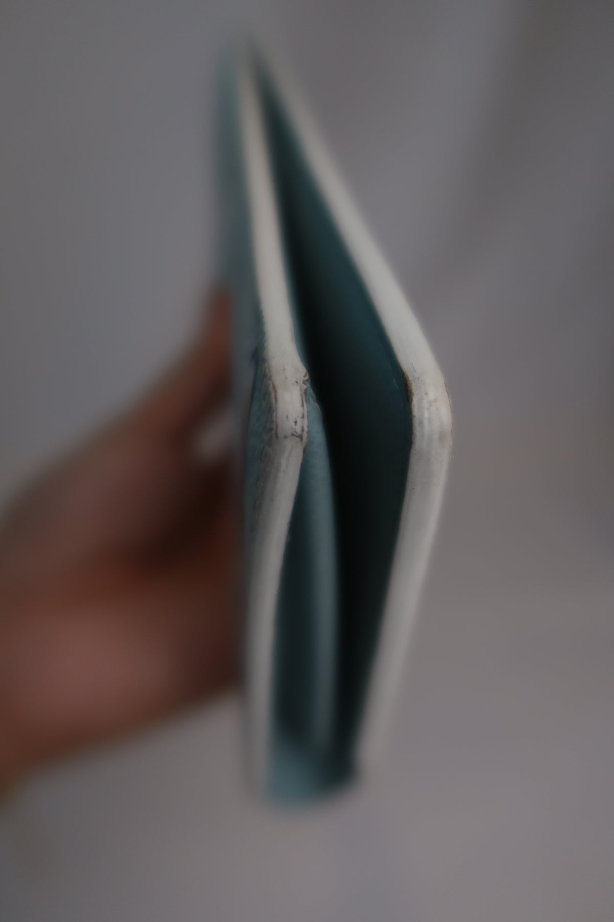 Louis Vuitton Brazza Wallet [Limited Edition] Aqua Garden Monogram
