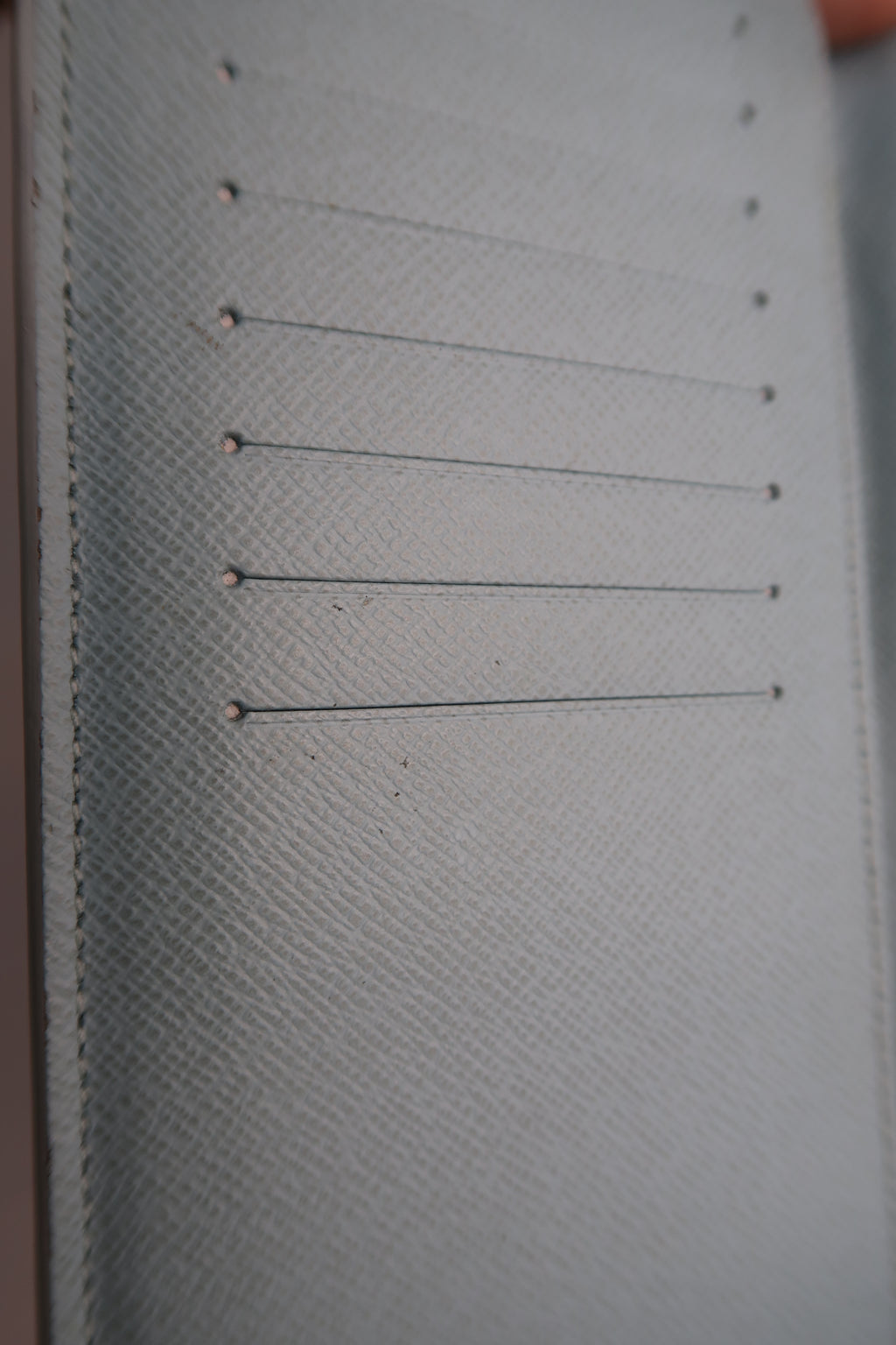 Louis Vuitton Brazza Wallet [Limited Edition] Aqua Garden Monogram