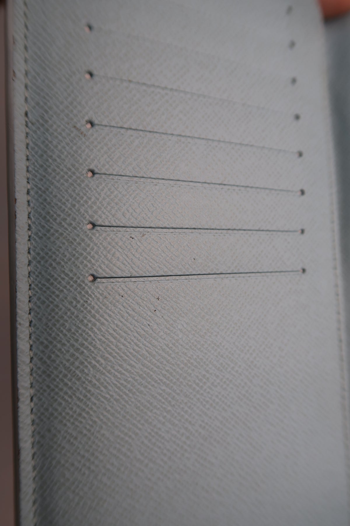Louis Vuitton Brazza Wallet [Limited Edition] Aqua Garden Monogram